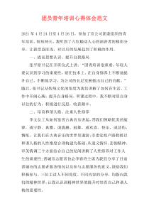 团员青年培训心得体会范文