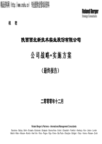 西北实业公司战略
