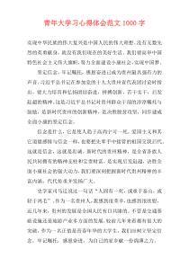青年大学习心得体会范文1000字