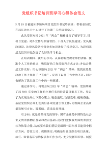 党组织书记培训班学习心得体会范文