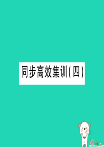 （江西专用）2018年中考地理 同步高效集训（四）课件