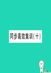 （江西专用）2018年中考地理 同步高效集训（十）课件