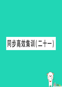 （江西专用）2018年中考地理 同步高效集训（二十一）课件