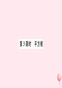 （江西专版）七年级数学下册 第六章 实数6.1 平方根第3课时 平方根习题课件（新版）新人教版