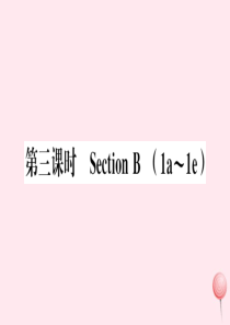 （江西专版）2019秋九年级英语全册 Unit 6 When was it invented第三课时