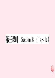 （江西专版）2019秋九年级英语全册 Unit 3 Could you please tell me