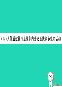 （江西专版）2019年中考生物总复习 五 生物圈中的人（人体通过神经系统和内分泌系统调节生命活动）教