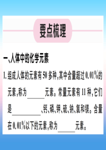 （江西专版）2018-2019学年九年级化学下册 第十二单元 化学与生活 课题2 化学元素与人体健康