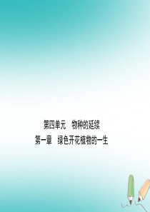 （济宁专版）2019年中考生物 第四单元 第一章复习课件