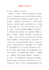雪的作文600字