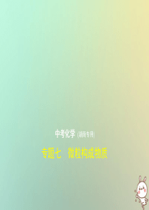 （湖南专用）2019年中考化学复习 专题七 微粒构成物质（试卷部分）课件