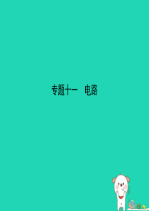 （湖南专版）2019中考物理 专题十一 电路复习习题课件