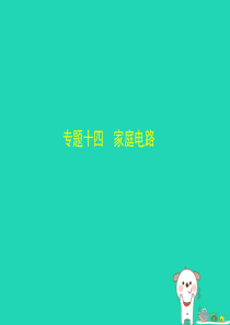 （湖南专版）2019中考物理 专题十四 家庭电路复习习题课件