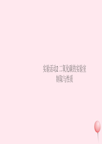 （湖北专版）2019秋九年级化学上册 第六单元 碳和碳的氧化物 实验活动2 二氧化碳的实验室制取与性