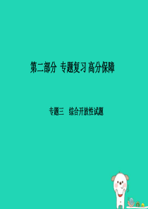 （菏泽专版）2018年中考物理 第二部分 专题复习 高分保障 专题3 综合开放性试题课件