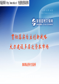 贯彻落实自主创新战略(ppt24)