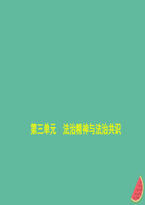 （河北专版）2019中考政治总复习 学法知法 宪法至上 第三单元 法治精神与法治共识习题课件