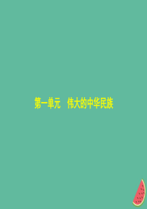 （河北专版）2019中考政治总复习 民族团结教育 第一单元 伟大的中华民族习题课件