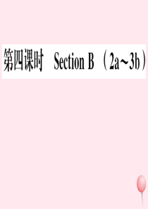 （河北专版）2019秋九年级英语全册 Unit 5 What are the shirts made