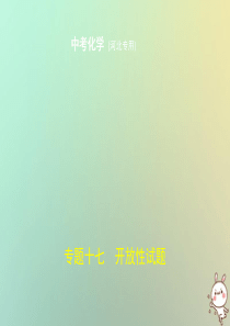 （河北专版）2019年中考化学复习 专题十七 开放性试卷（试卷部分）课件