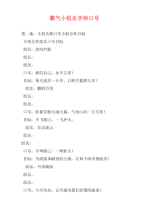霸气小组名字和口号