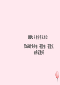 （贵州专版）2019秋九年级化学下册 第十一单元 盐 化肥 课题1 生活中常见的盐第1课时 氯化钠、