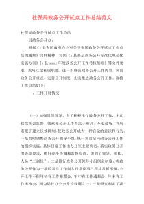 社保局政务公开试点工作总结范文