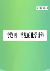 （贵阳专版）2018届九年级化学上册 专题4 常见的化学计算课件 （新版）新人教版