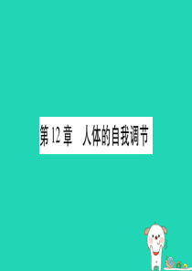 （贵港地区）2019年中考生物总复习 七下 第4单元 第12章 人体的自我调节习题课件