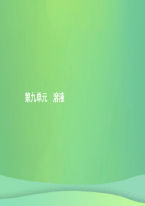 （甘肃地区）2019年中考化学总复习 第九单元 溶液课件