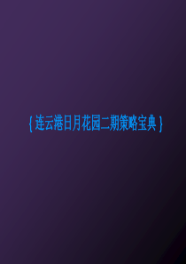 连云港日月花园二期策略方案
