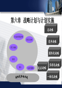 适应战略