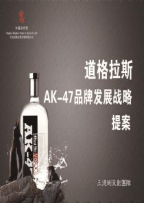 道格拉斯品牌战略提案
