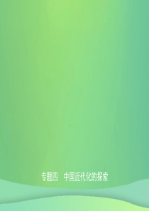 （东营专版）2019年中考历史复习 专题四 中国近代化的探索课件