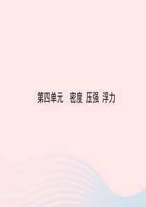 （达州专版）2019中考物理 第四单元 密度 压强 浮力 第14课时 浮力(二)复习课件