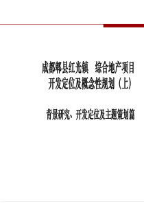 成都郫县红光镇综合地产项目开发定位及概念性规划_70P