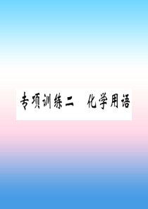 （百色专版）2019届中考化学毕业总复习 第2编 重点专题突破篇 专项训练2 化学用语课件