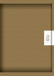 金地_杭州金地自在城项目推广策略提案_博加广告_65P_XXXX年