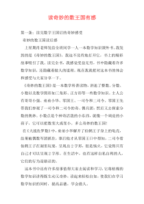 读奇妙的数王国有感