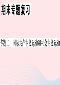 （安徽专版）九年级历史下册 期末专题复习二 国际共产主义运动和社会主义运动习题课件 新人教版