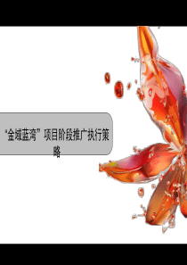 金域蓝湾第一阶段推广执行策略