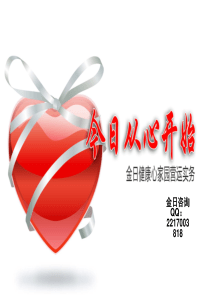 金日科技经营战略(招商会版)