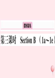 （安徽专版）八年级英语上册 Unit 2 How often do you exercise第三课时