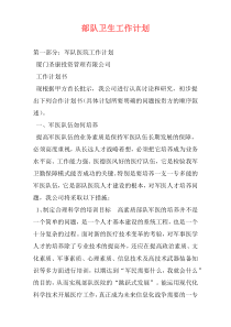 部队卫生工作计划