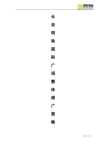 长安明珠广场整合推广策略XXXX-1-4