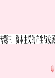 （安徽专版）2019秋九年级历史上册 期末专题复习三 资本主义的产生和发展习题课件 新人教版