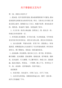 关于青春的文艺句子