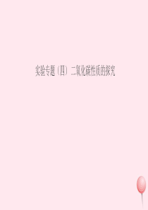 （安徽专版）2019秋九年级化学上册 第六单元 碳和碳的氧化物 实验专题（四）二氧化碳性质的探究习题