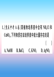 （安徽专版）2018-2019学年九年级化学下册 专题五 物质的共存、鉴别与除杂习题课件 新人教版