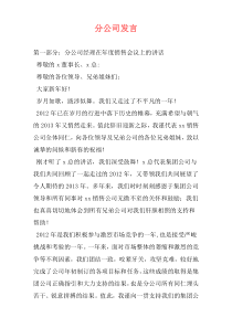 分公司发言